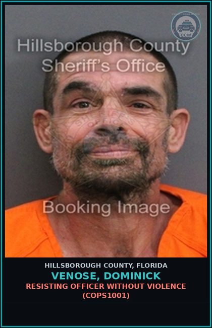 CCW arrest card for VENOSE, DOMINICK in Hillsborough County: RESISTING OFFICER WITHOUT VIOLENCE (COPS1001)