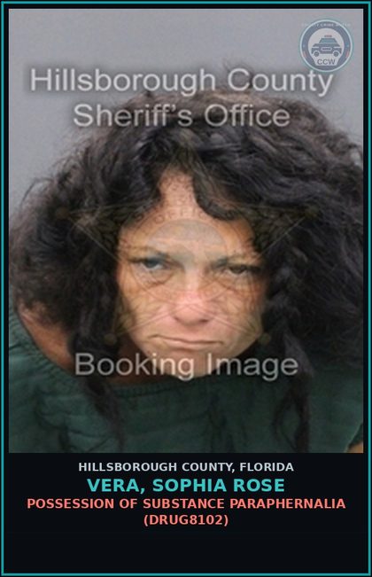 CCW arrest card for VERA, SOPHIA ROSE in Hillsborough County: POSSESSION OF DRUG PARAPHERNALIA (DRUG8102)