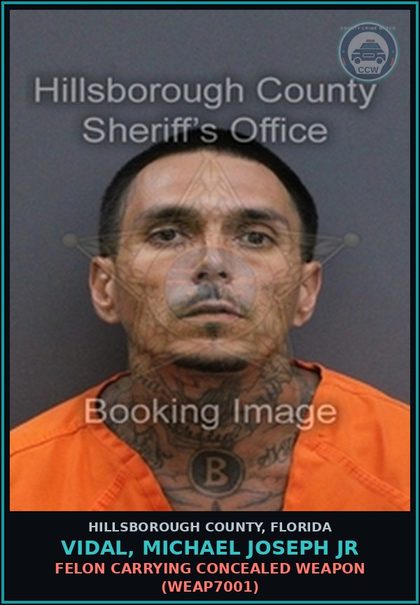 CCW arrest card for VIDAL, MICHAEL JOSEPH JR in Hillsborough County: POSSESSION OF Canna SATIVA RESIN (DRUG2104)