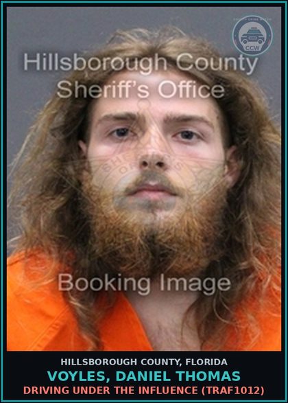 CCW arrest card for VOYLES, DANIEL THOMAS in Hillsborough County: DRIVING UNDER THE INFLUENCE (TRAF1012)