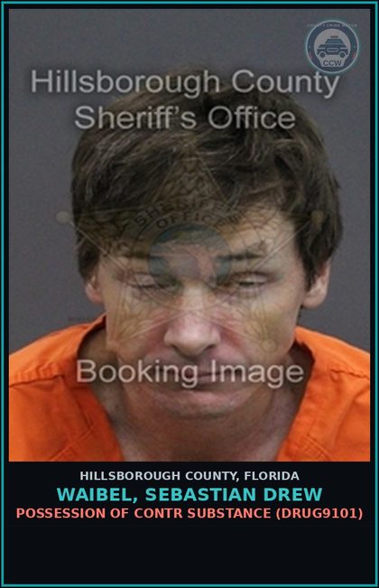 CCW arrest card for WAIBEL, SEBASTIAN DREW in Hillsborough County: POSSESSION OF contr substance (DRUG9101)