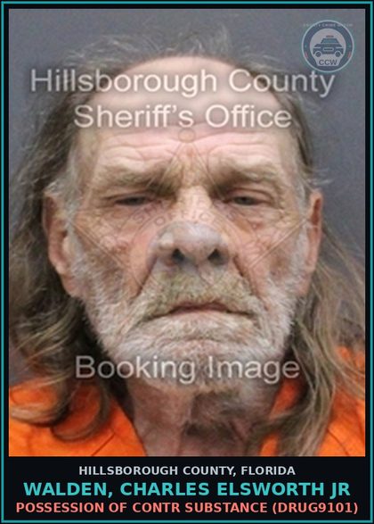 CCW arrest card for WALDEN, CHARLES ELSWORTH JR in Hillsborough County: POSSESSION OF contr substance (DRUG9101)