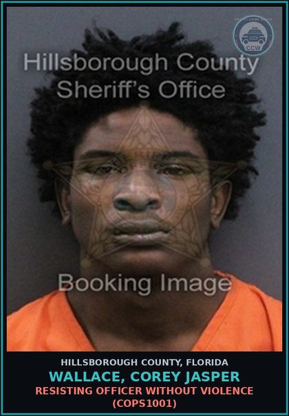 CCW arrest card for WALLACE, COREY JASPER in Hillsborough County: RESISTING OFFICER WITHOUT VIOLENCE (COPS1001)
