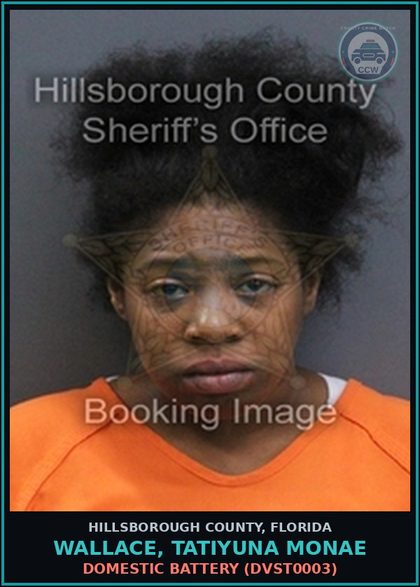 CCW arrest card for WALLACE, TATIYUNA MONAE in Hillsborough County: DOMESTIC BATTERY (DVST0003)
