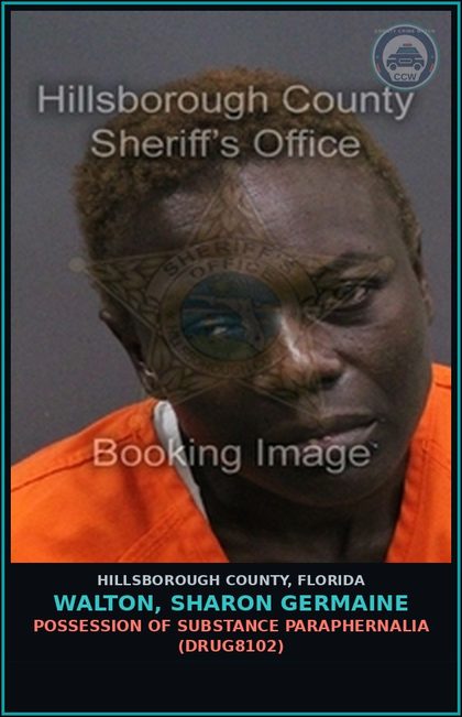 CCW arrest card for WALTON, SHARON GERMAINE in Hillsborough County: PETIT THEFT ($100 OR LESS) (THEF1011)