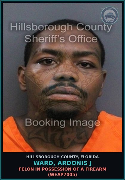 CCW arrest card for WARD, ARDONIS J in Hillsborough County: UNLAWFUL POSSESSION OF A STOLEN CREDIT OR DEBIT CARD (THEF8009)