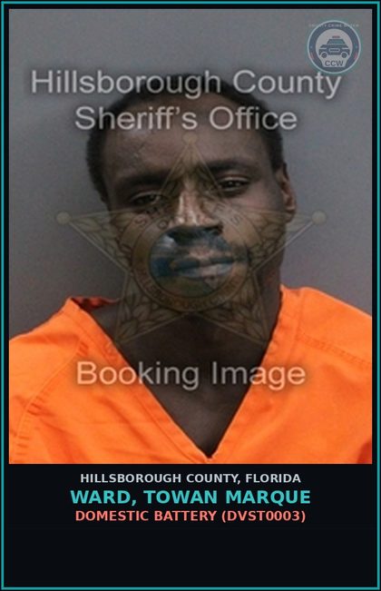 CCW arrest card for WARD, TOWAN MARQUE in Hillsborough County: DOMESTIC BATTERY (DVST0003)