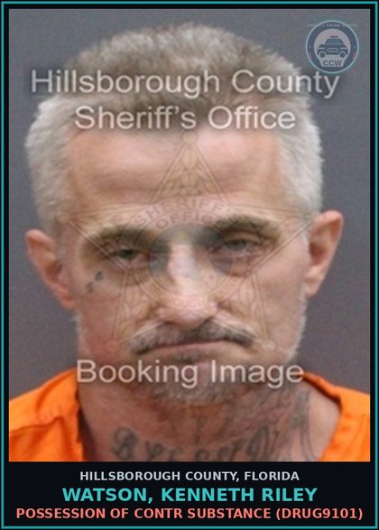 CCW arrest card for WATSON, KENNETH RILEY in Hillsborough County: POSSESSION OF contr substance (DRUG9101)
