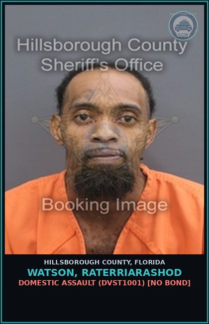 CCW arrest card for WATSON, RATERRIARASHOD in Hillsborough County: DOMESTIC ASSAULT (DVST1001) [NO BOND]