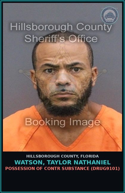 CCW arrest card for WATSON, TAYLOR NATHANIEL in Hillsborough County: POSSESSION OF contr substance (DRUG9101)
