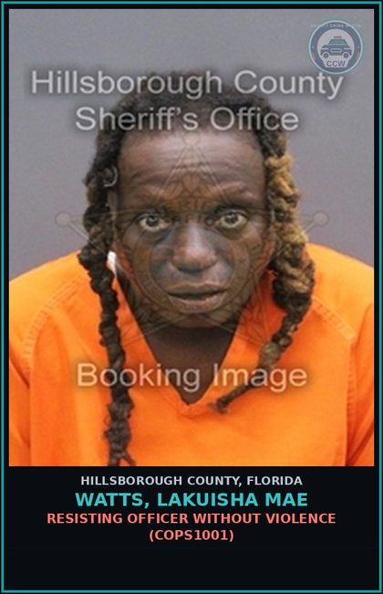 CCW arrest card for WATTS, LAKUISHA MAE in Hillsborough County: DRIVING WITH LICENSE CANCELED, SUSPENDED, OR REVOKED (3RD OFFENSE) (TRAF6077)