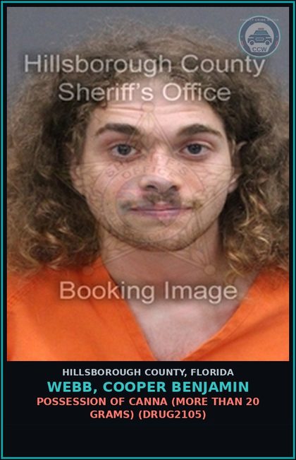 CCW arrest card for WEBB, COOPER BENJAMIN in Hillsborough County: POSSESSION OF Canna (MORE THAN 20 GRAMS) (DRUG2105)