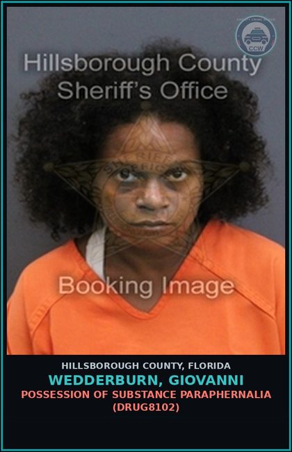 CCW arrest card for WEDDERBURN, GIOVANNI in Hillsborough County: CONTEMPT OF COURT (ADMIN007) CONTEMPT OF COURT FTA ORDER TO SHOW CAUSE