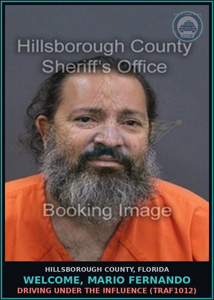 CCW arrest card for WELCOME, MARIO FERNANDO in Hillsborough County: DRIVING UNDER THE INFLUENCE (TRAF1012)