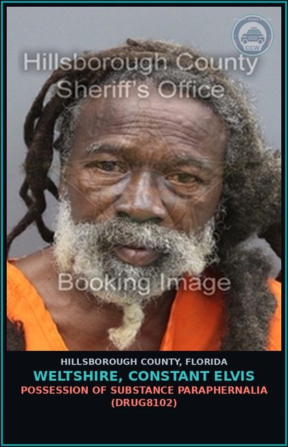 CCW arrest card for WELTSHIRE, CONSTANT ELVIS in Hillsborough County: POSSESSION OF DRUG PARAPHERNALIA (DRUG8102)