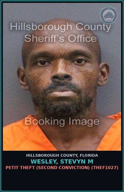 CCW arrest card for WESLEY, STEVYN M in Hillsborough County: PETIT THEFT (SECOND CONVICTION) (THEF1027)