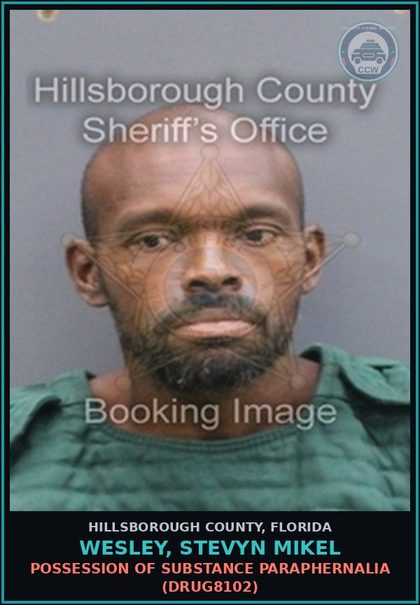CCW arrest card for WESLEY, STEVYN MIKEL in Hillsborough County: THEFT OF MARKED CONTAINER (THEF5013)