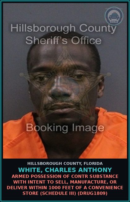 CCW arrest card for WHITE, CHARLES ANTHONY in Hillsborough County: ARMED POSSESSION OF contr substance WITH INTENT TO SELL, MANUFACTURE, OR DELIVER WITHIN 1000 FEET OF A CONVENIENCE STORE (SCHEDULE III) (DRUG1809)