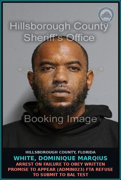 CCW arrest card for WHITE, DOMINIQUE MARQIUS in Hillsborough County: ARREST ON FAILURE TO OBEY WRITTEN PROMISE TO APPEAR (ADMIN023) FTA REFUSE TO SUBMIT TO BAL TEST