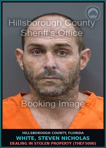 CCW arrest card for WHITE, STEVEN NICHOLAS in Hillsborough County: DEALING IN STOLEN PROPERTY (THEF5000)