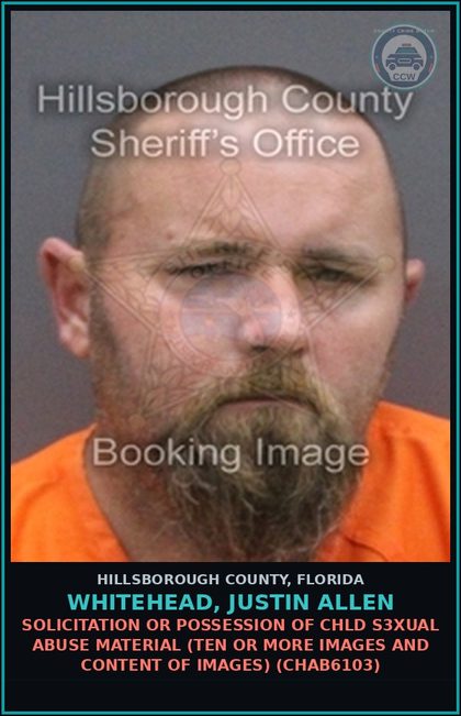 CCW arrest card for WHITEHEAD, JUSTIN ALLEN in Hillsborough County: FILM, DISTRIBUTE, OR POSSESS IMAGE OR VIDEO OF s3xual ACTIVITY WITH AN ANIMAL (ANIM6041)