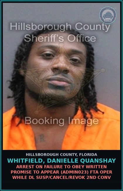 CCW arrest card for WHITFIELD, DANIELLE QUANSHAY in Hillsborough County: ARREST ON FAILURE TO OBEY WRITTEN PROMISE TO APPEAR (ADMIN023) FTA OPER WHILE DL SUSP/CANCEL/REVOK 2ND CONV