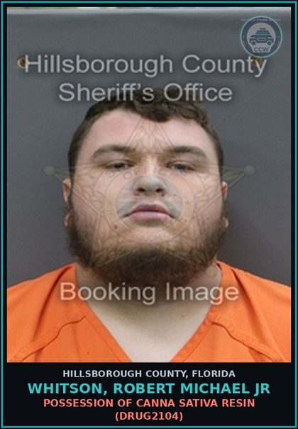 CCW arrest card for WHITSON, ROBERT MICHAEL JR in Hillsborough County: DRIVING WITH LICENSE CANCELED, SUSPENDED, OR REVOKED (TRAF6075)