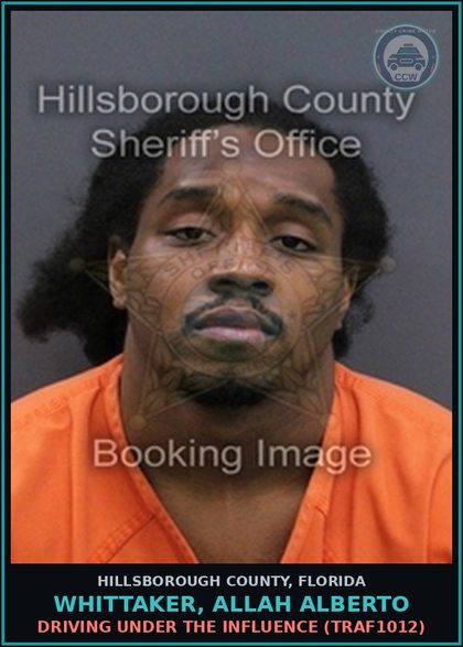 CCW arrest card for WHITTAKER, ALLAH ALBERTO in Hillsborough County: DRIVING UNDER THE INFLUENCE (TRAF1012)