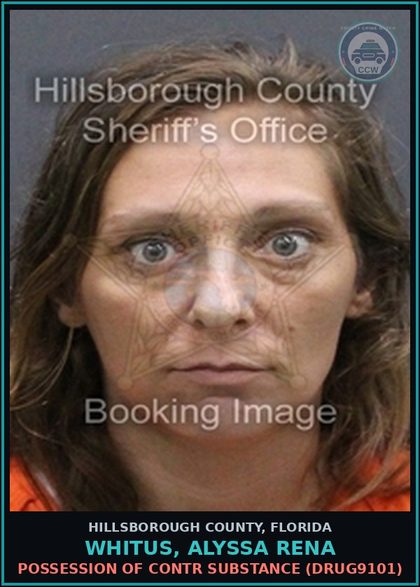 CCW arrest card for WHITUS, ALYSSA RENA in Hillsborough County: POSSESSION OF contr substance (DRUG9101)