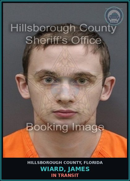 CCW arrest card for WIARD, JAMES in Hillsborough County: In Transit