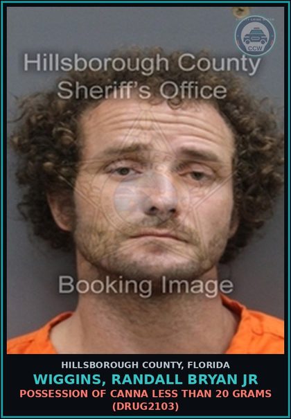 CCW arrest card for WIGGINS, RANDALL BRYAN JR in Hillsborough County: POSSESSION OF Canna LESS THAN 20 GRAMS (DRUG2103)