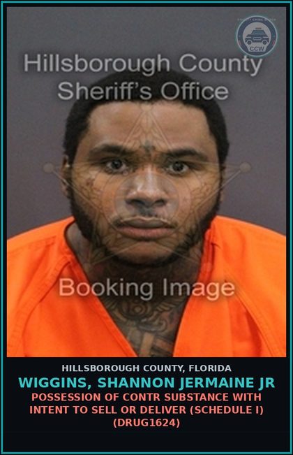 CCW arrest card for WIGGINS, SHANNON JERMAINE JR in Hillsborough County: POSSESSION OF contr substance WITH INTENT TO SELL OR DELIVER (SCHEDULE I) (DRUG1624)