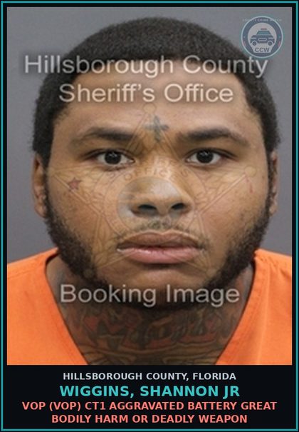 CCW arrest card for WIGGINS, SHANNON JR in Hillsborough County: VOP (VOP) CT1 AGGRAVATED BATTERY GREAT BODILY HARM OR DEADLY WEAPON