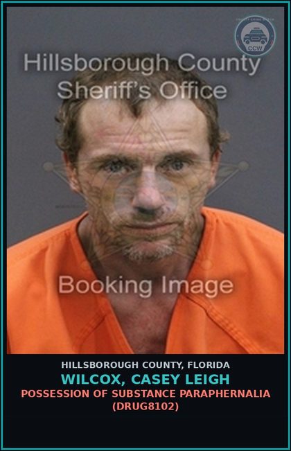 CCW arrest card for WILCOX, CASEY LEIGH in Hillsborough County: POSSESSION OF DRUG PARAPHERNALIA (DRUG8102)
