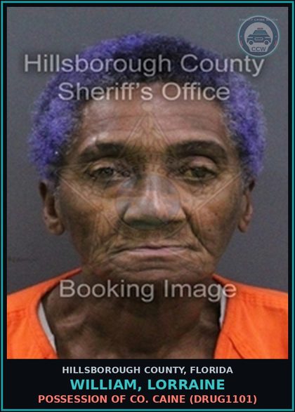 CCW arrest card for WILLIAM, LORRAINE in Hillsborough County: POSSESSION OF COCAINE (DRUG1101)