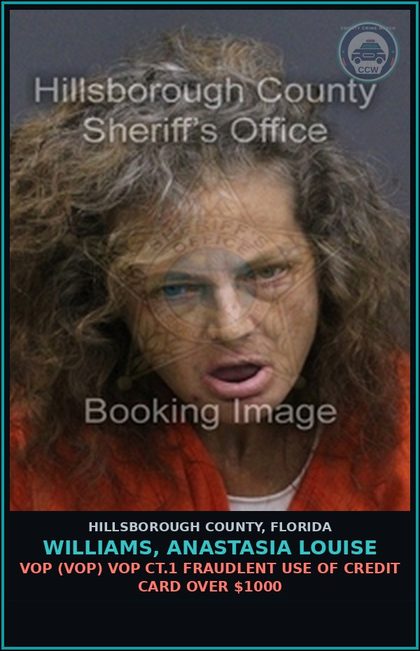 CCW arrest card for WILLIAMS, ANASTASIA LOUISE in Hillsborough County: VOP (VOP) VOP CT.1 FRAUDLENT USE OF CREDIT CARD OVER $1000