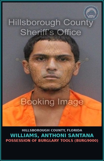 CCW arrest card for WILLIAMS, ANTHONI SANTANA in Hillsborough County: POSSESSION OF BURGLARY TOOLS (BURG9000)