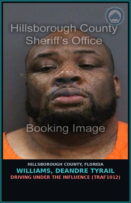 CCW arrest card for WILLIAMS, DEANDRE TYRAIL in Hillsborough County: DRIVING UNDER THE INFLUENCE (TRAF1012)