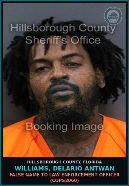 CCW arrest card for WILLIAMS, DELARIO ANTWAN in Hillsborough County: FALSE NAME TO LAW ENFORCEMENT OFFICER (COPS2060)
