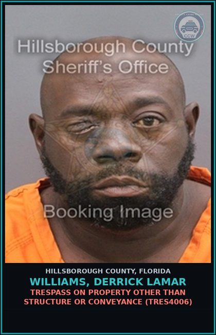 CCW arrest card for WILLIAMS, DERRICK LAMAR in Hillsborough County: TRESPASS ON PROPERTY OTHER THAN STRUCTURE OR CONVEYANCE (TRES4006)