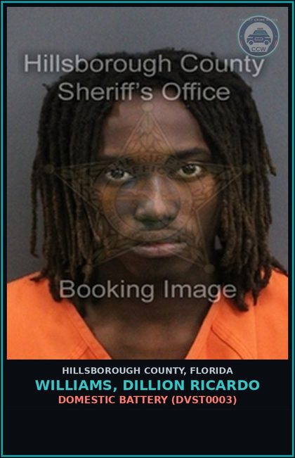 CCW arrest card for WILLIAMS, DILLION RICARDO in Hillsborough County: DOMESTIC BATTERY (DVST0003)