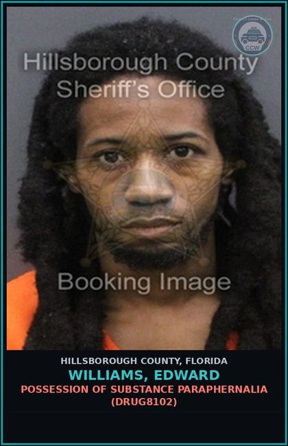 CCW arrest card for WILLIAMS, EDWARD in Hillsborough County: POSSESSION OF DRUG PARAPHERNALIA (DRUG8102)
