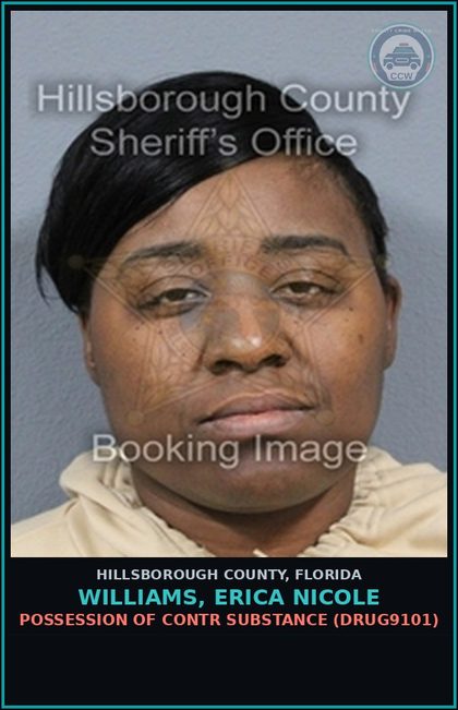 CCW arrest card for WILLIAMS, ERICA NICOLE in Hillsborough County: POSSESSION OF contr substance (DRUG9101)