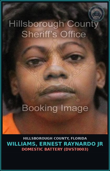 CCW arrest card for WILLIAMS, ERNEST RAYNARDO JR in Hillsborough County: DOMESTIC BATTERY (DVST0003)