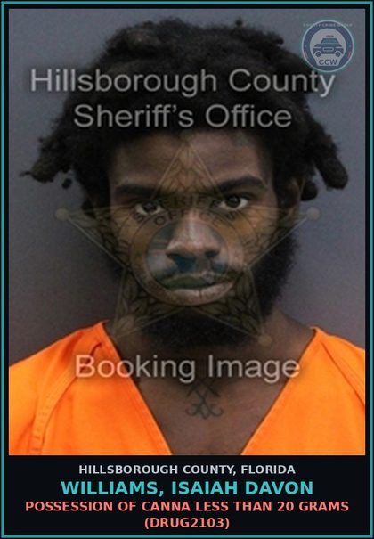 CCW arrest card for WILLIAMS, ISAIAH DAVON in Hillsborough County: POSSESSION OF Canna LESS THAN 20 GRAMS (DRUG2103)