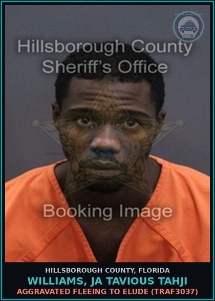 CCW arrest card for WILLIAMS, JA TAVIOUS TAHJI in Hillsborough County: AGGRAVATED FLEEING TO ELUDE (TRAF3037)