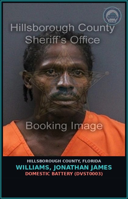 CCW arrest card for WILLIAMS, JONATHAN JAMES in Hillsborough County: DOMESTIC BATTERY (DVST0003)