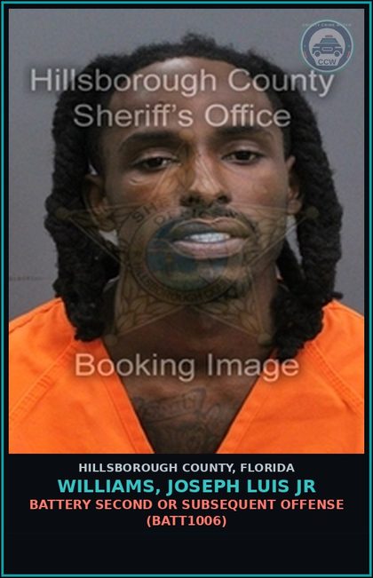 CCW arrest card for WILLIAMS, JOSEPH LUIS JR in Hillsborough County: RESISTING OFFICER WITHOUT VIOLENCE (COPS1001)
