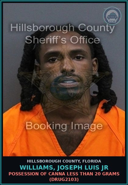CCW arrest card for WILLIAMS, JOSEPH LUIS JR in Hillsborough County: POSSESSION OF Canna LESS THAN 20 GRAMS (DRUG2103)