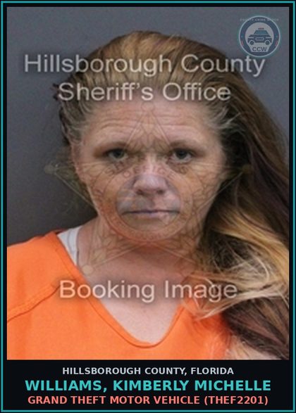 CCW arrest card for WILLIAMS, KIMBERLY MICHELLE in Hillsborough County: GRAND THEFT MOTOR VEHICLE (THEF2201)